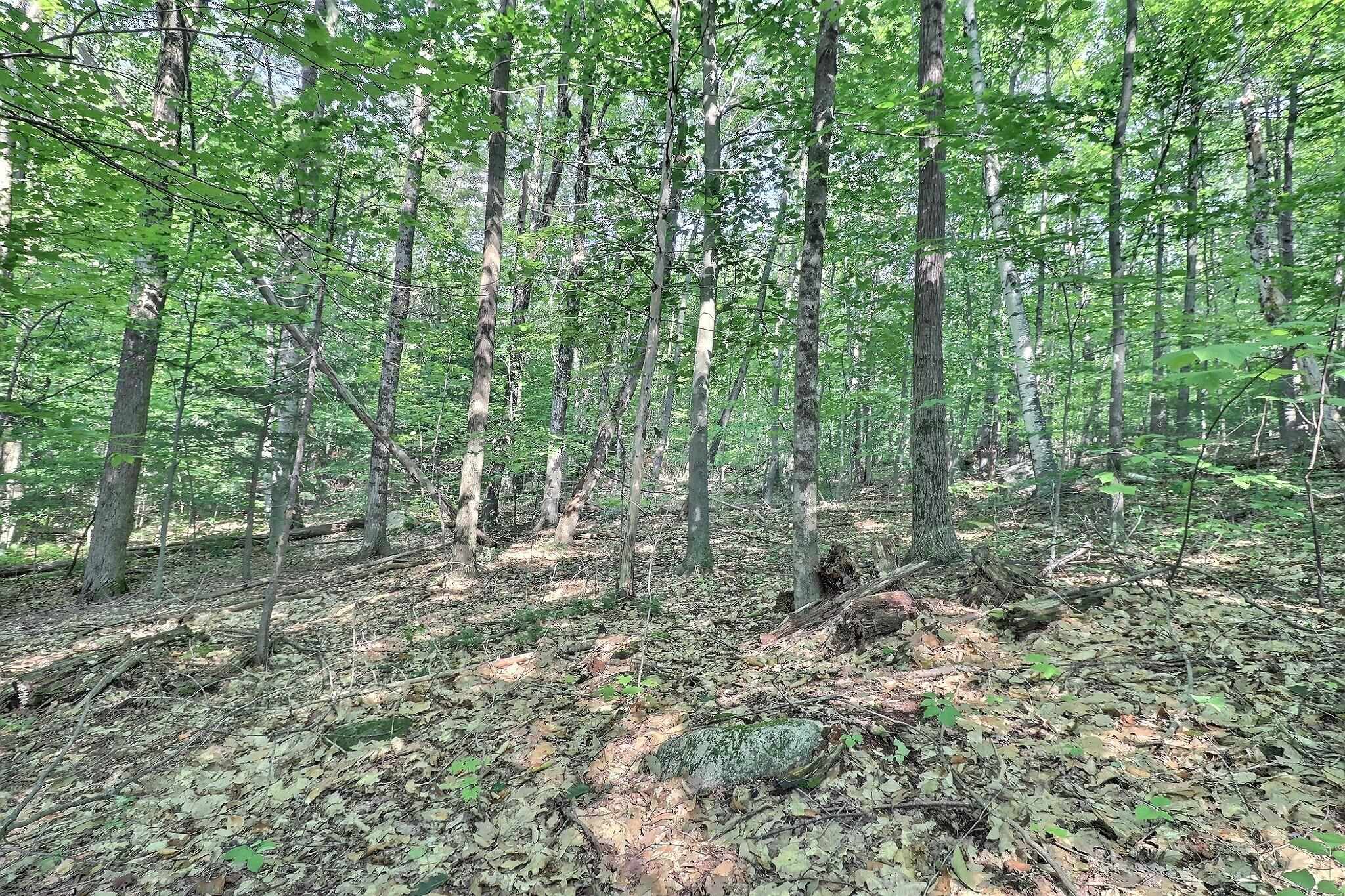 0 Grace Road Wilmot, NH 03287 - Photo 2 of 7