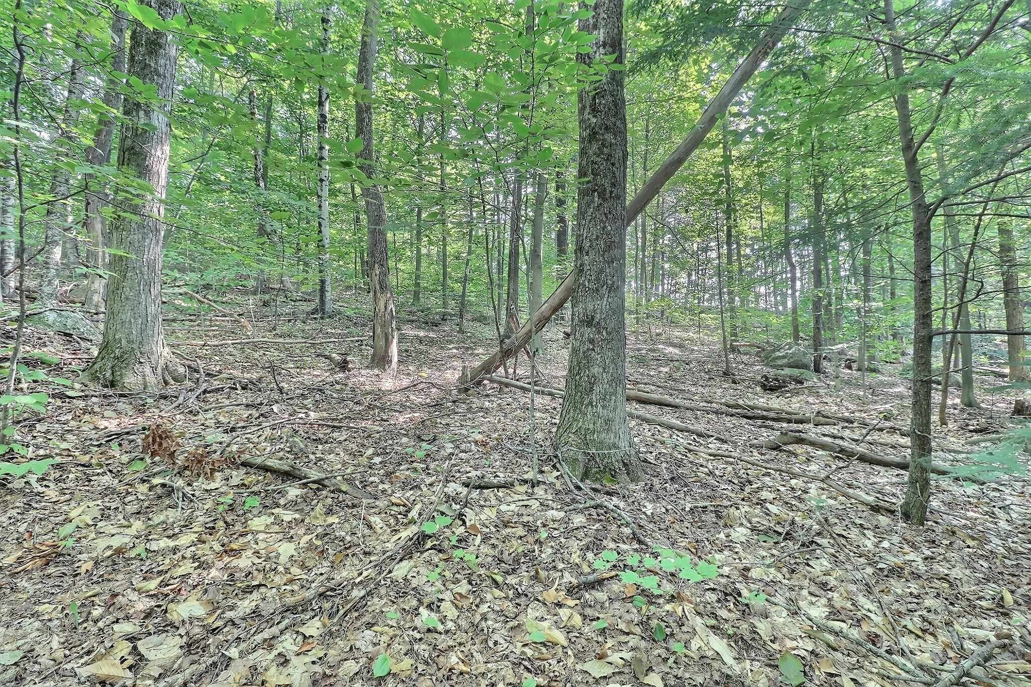 0 Grace Road Wilmot, NH 03287 - Photo 3 of 7