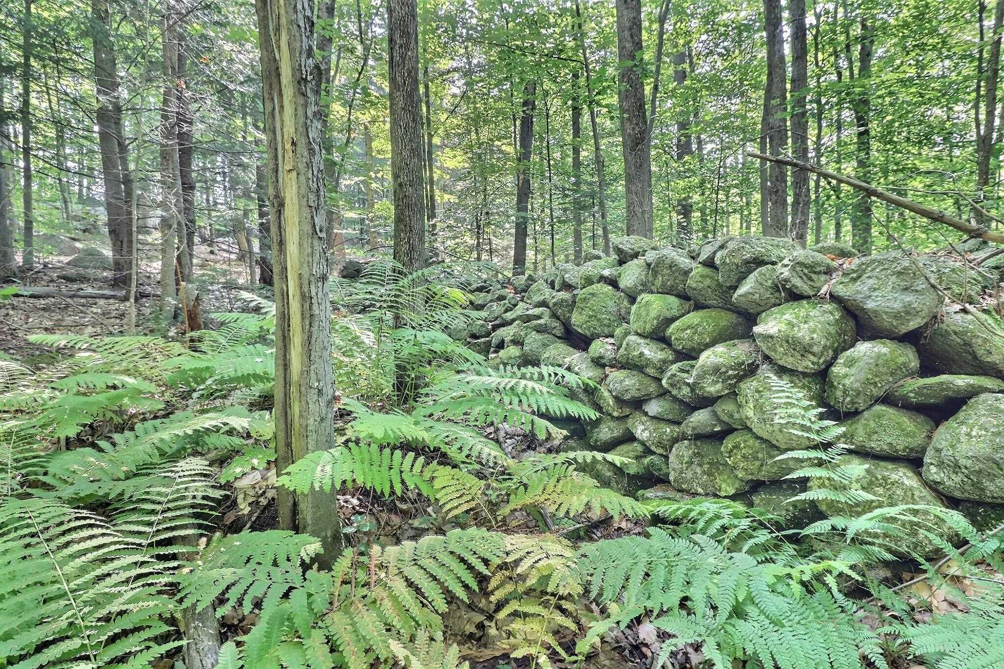 0 Grace Road Wilmot, NH 03287 - Photo 4 of 7