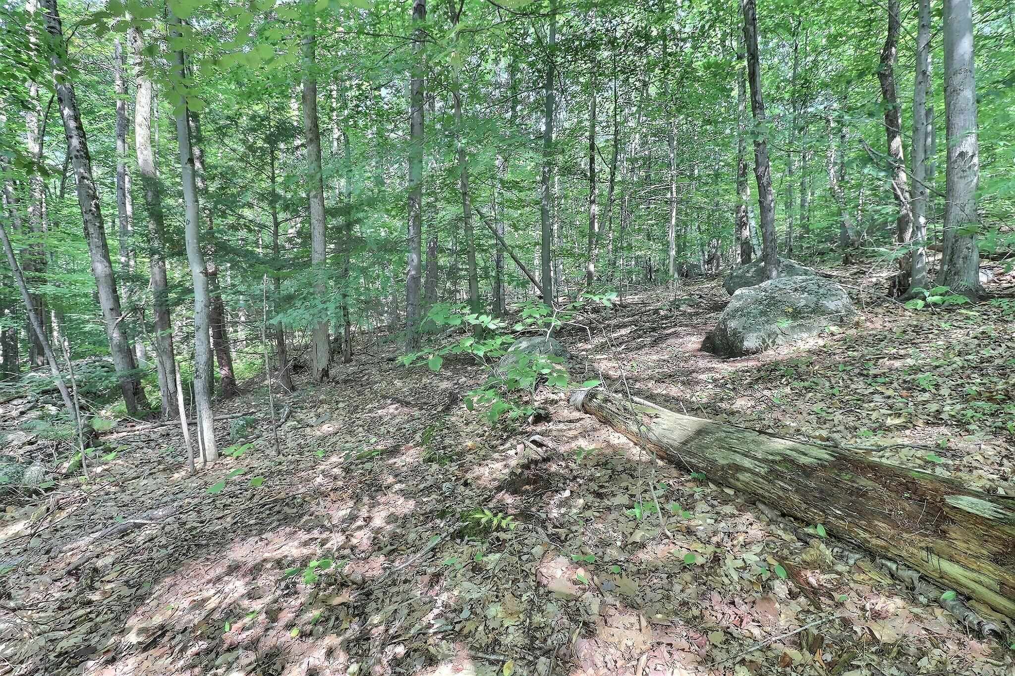 0 Grace Road Wilmot, NH 03287 - Photo 5 of 7