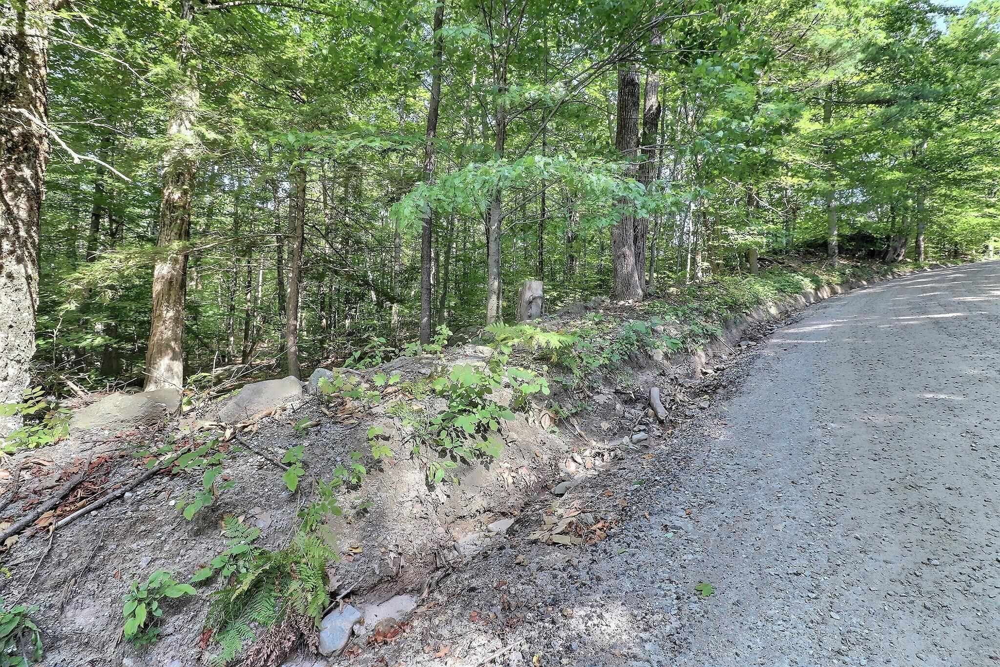 0 Grace Road Wilmot, NH 03287 - Photo 6 of 7