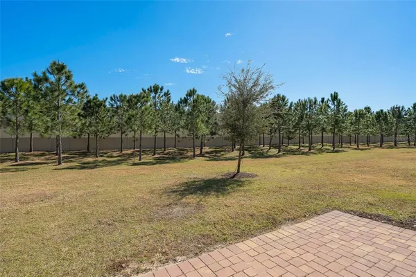 $2,545 | 2519 Sweet Viburnum Way, Ocoee, FL 34761