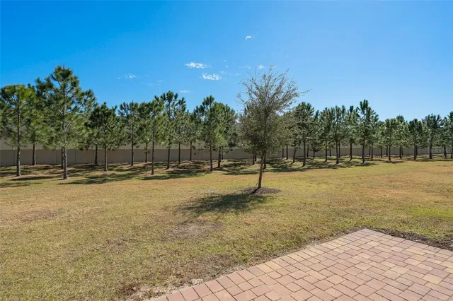 $2,595 | 2519 Sweet Viburnum Way, Ocoee, FL 34761