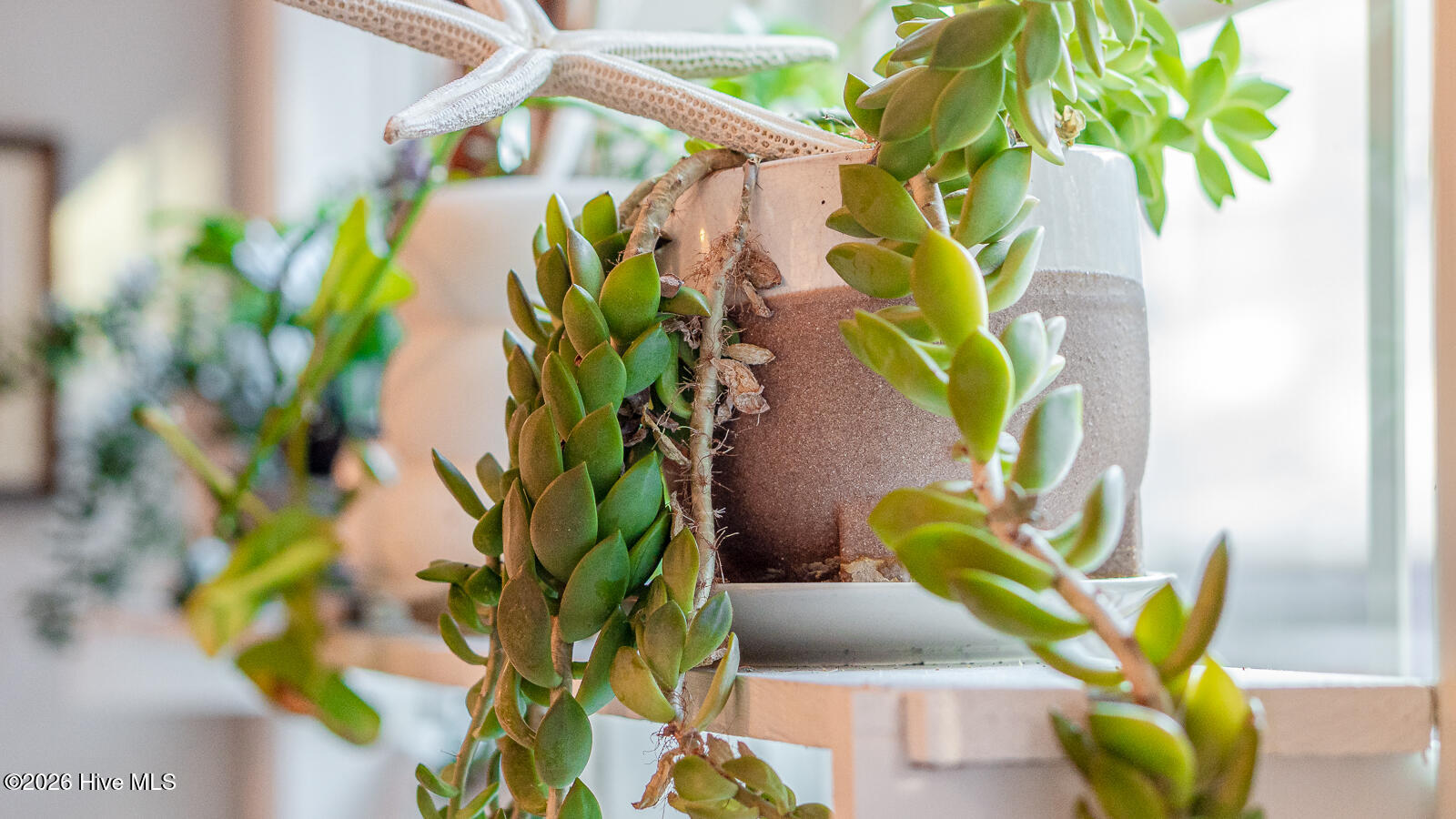 324 South Culverton Road Winnabow, NC 28479 - Photo 21 of 61 DSC07142