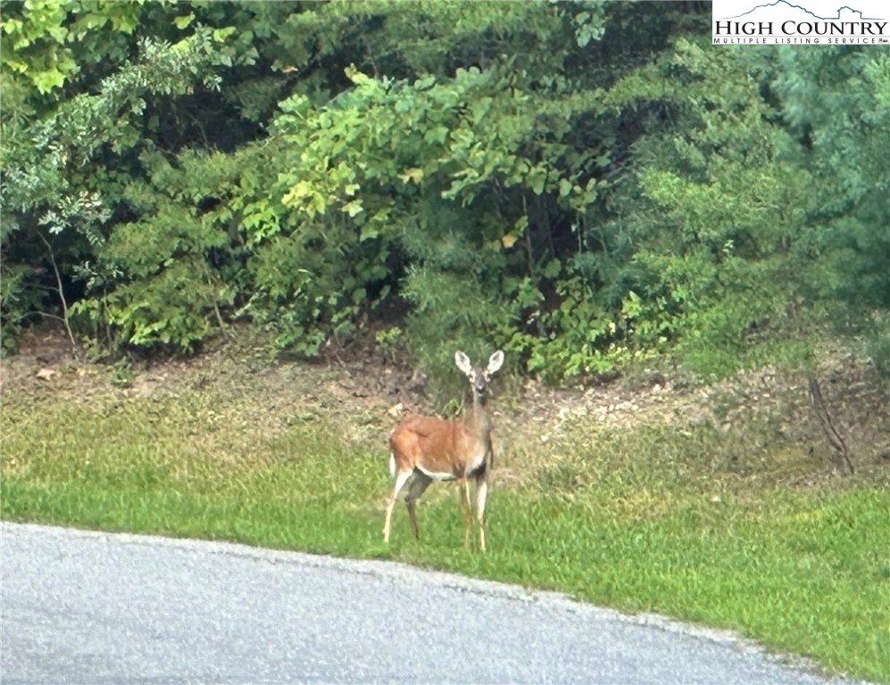 Lot 34 Cascade Run Purlear, NC 28665 - Photo 12 of 24