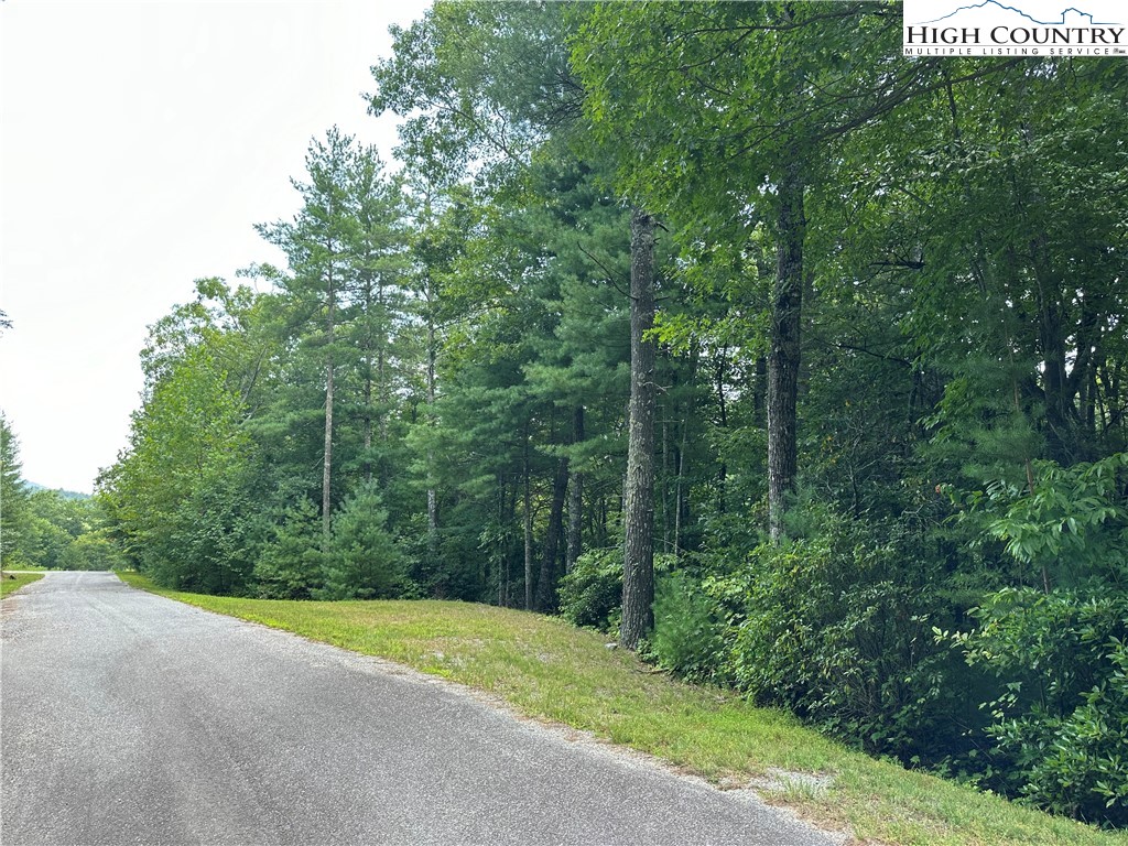 Lot 34 Cascade Run Purlear, NC 28665 - Photo 4 of 24