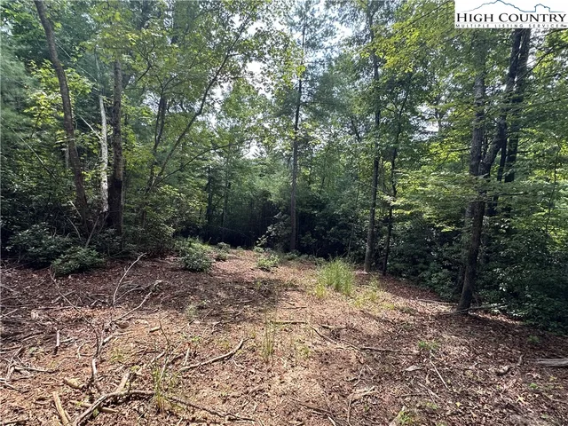 $84,500 | Lot 34 Cascade Run, Purlear, NC 28665