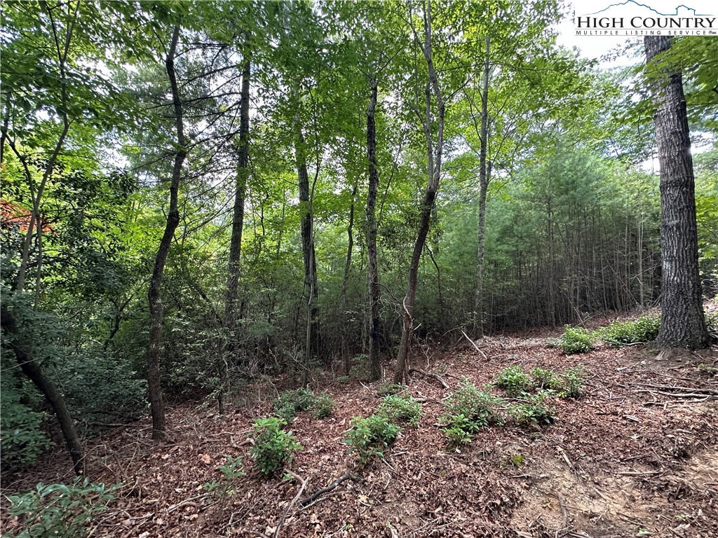 Lot 34 Cascade Run Purlear, NC 28665 - Photo 7 of 24