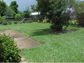 1013 Illinois Road Cocoa, FL 32927 - Photo 2 of 8 Additional Photo