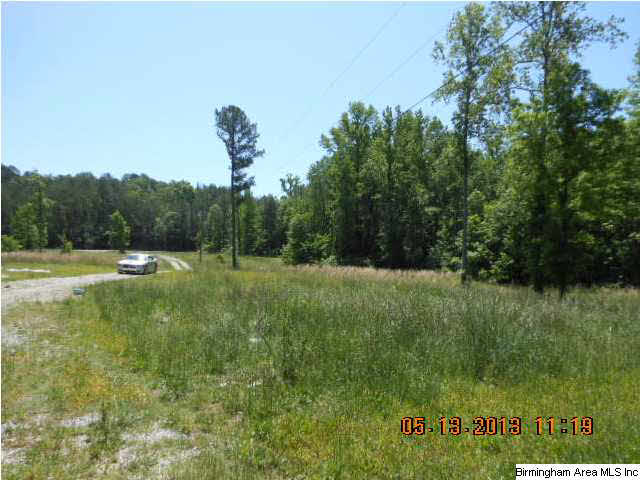 3593 Mud Creek Road, Unit 14 2 AC Adger, AL 35006 - Photo 3 of 8 Gallery Image 3