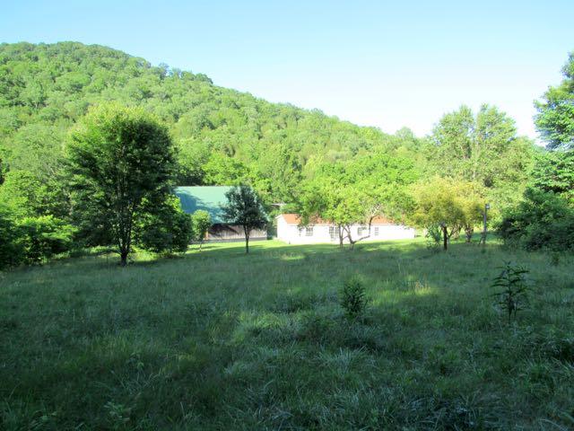 21 Dog Branch Road Pleasant Shade, TN 37145 - Photo 13 of 30 Standing at the edge of the woods looking toward the house, barn, and road.