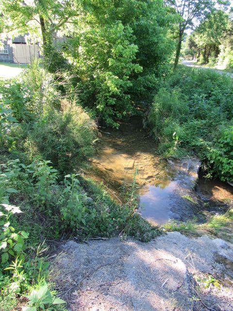 21 Dog Branch Road Pleasant Shade, TN 37145 - Photo 16 of 30 watch the minnows in the year round creek running in front of the property