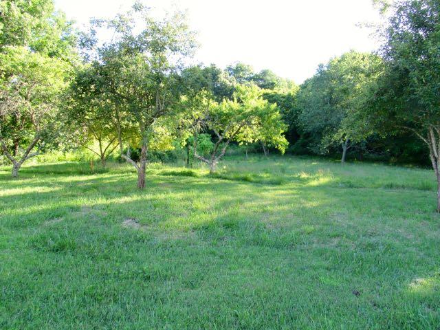 21 Dog Branch Road Pleasant Shade, TN 37145 - Photo 25 of 30 There's a few acres open up from the road up to the wood line. There's some nice fruit trees!