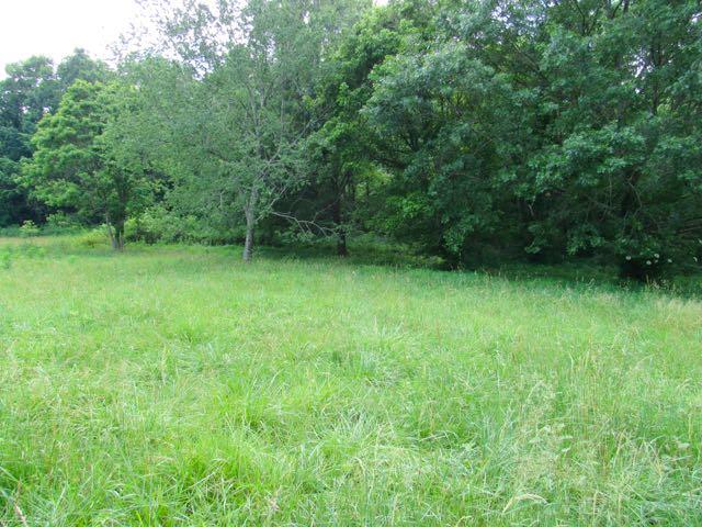 21 Dog Branch Road Pleasant Shade, TN 37145 - Photo 28 of 30