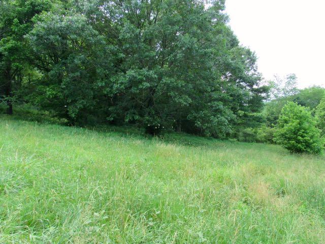 21 Dog Branch Road Pleasant Shade, TN 37145 - Photo 30 of 30