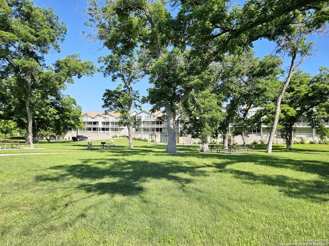 a big yard with lots of trees