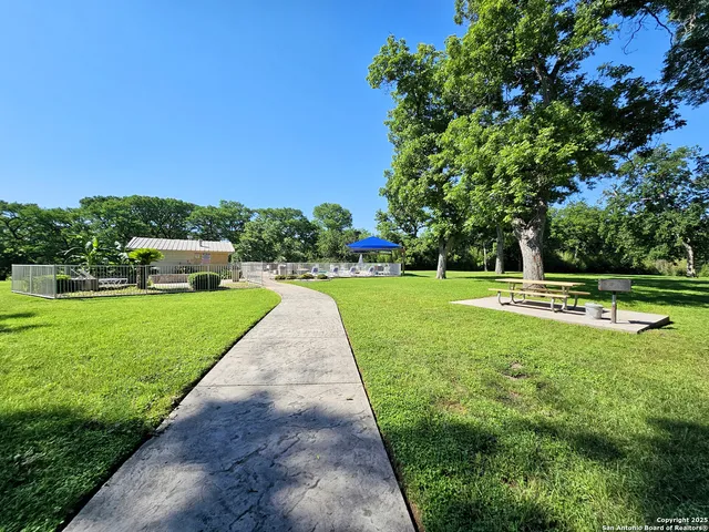 a view of a park with large trees