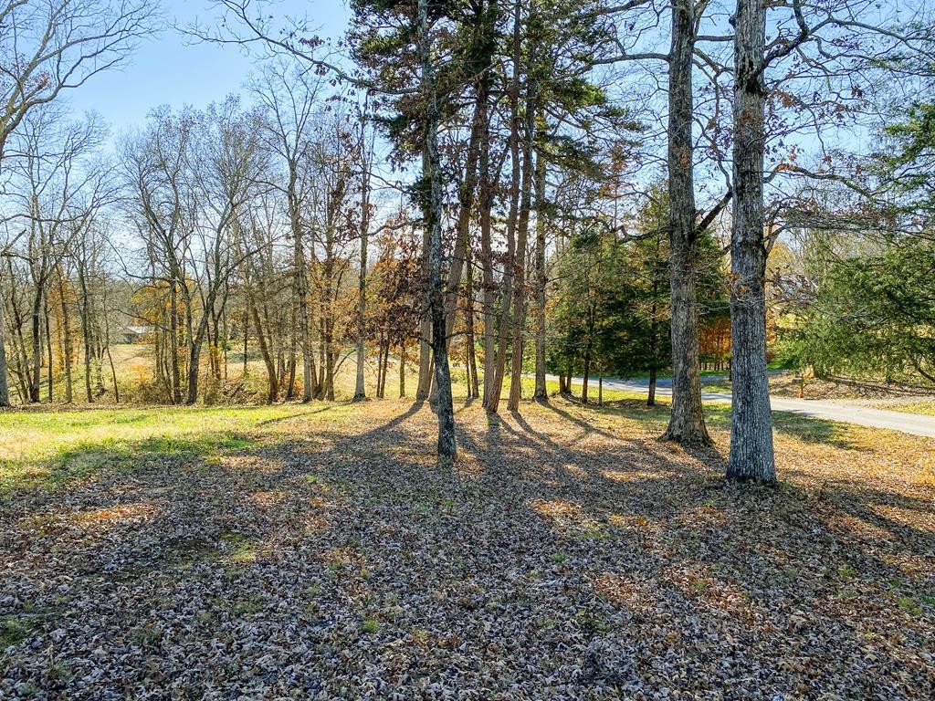 0 Holly Glen Road Decatur, TN 37322 - Photo 5 of 7 Gallery Image 5