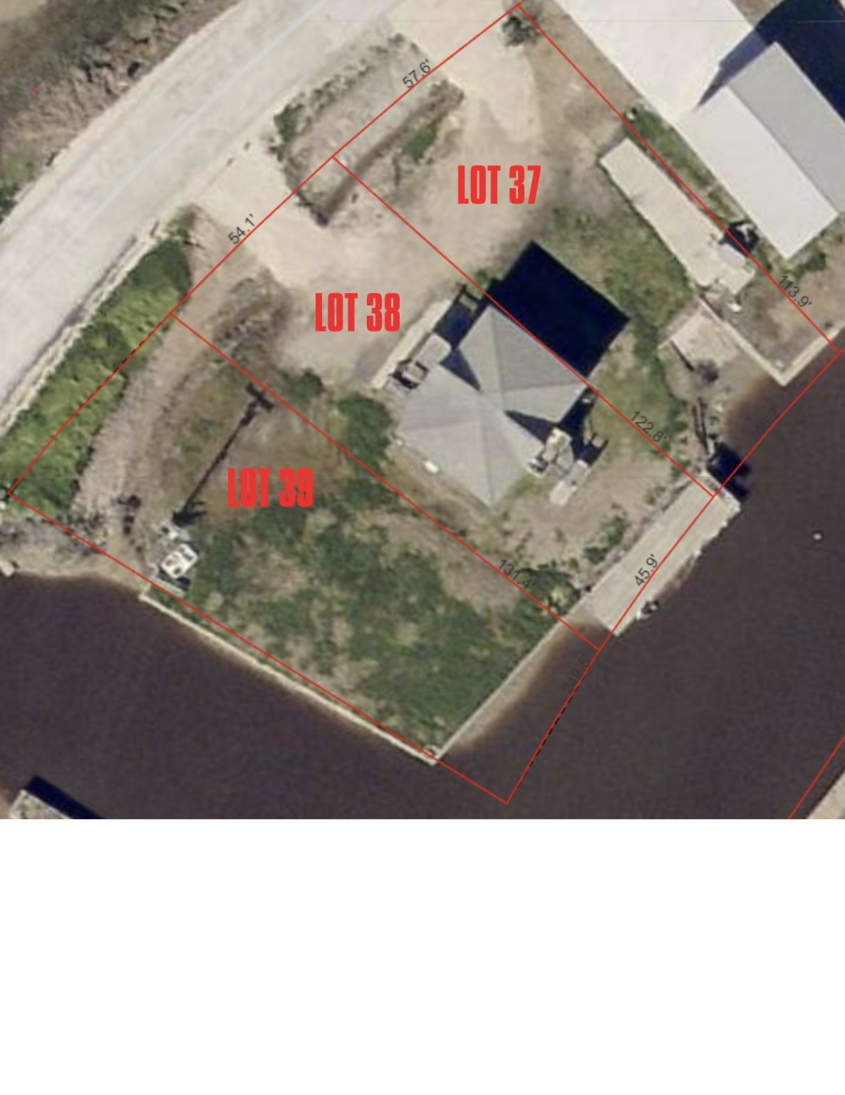 a black and white photo of a park