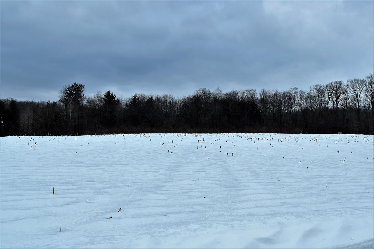 475 East Wing Road Mount Pleasant, MI 48858 - Photo 38 of 45 1857867-37.JPG