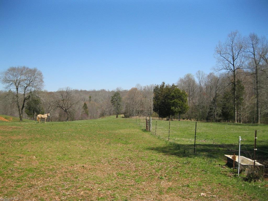 3053 Fairview Farm Road Asheboro, NC 27205 - Photo 8 of 19 Gallery Image 8