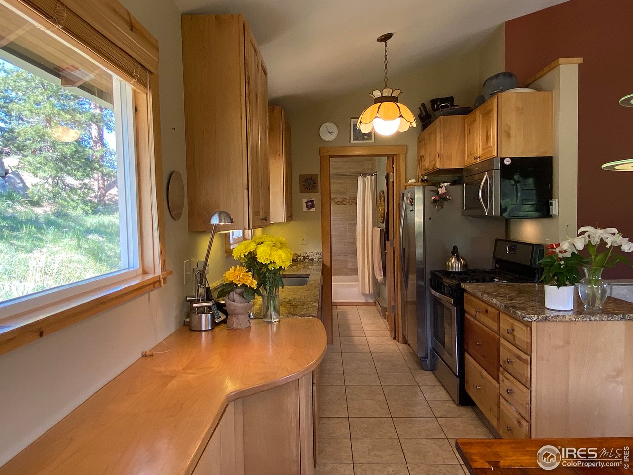 536 Taylor Road Lyons, CO 80540 - Photo 28 of 40 Kitchen