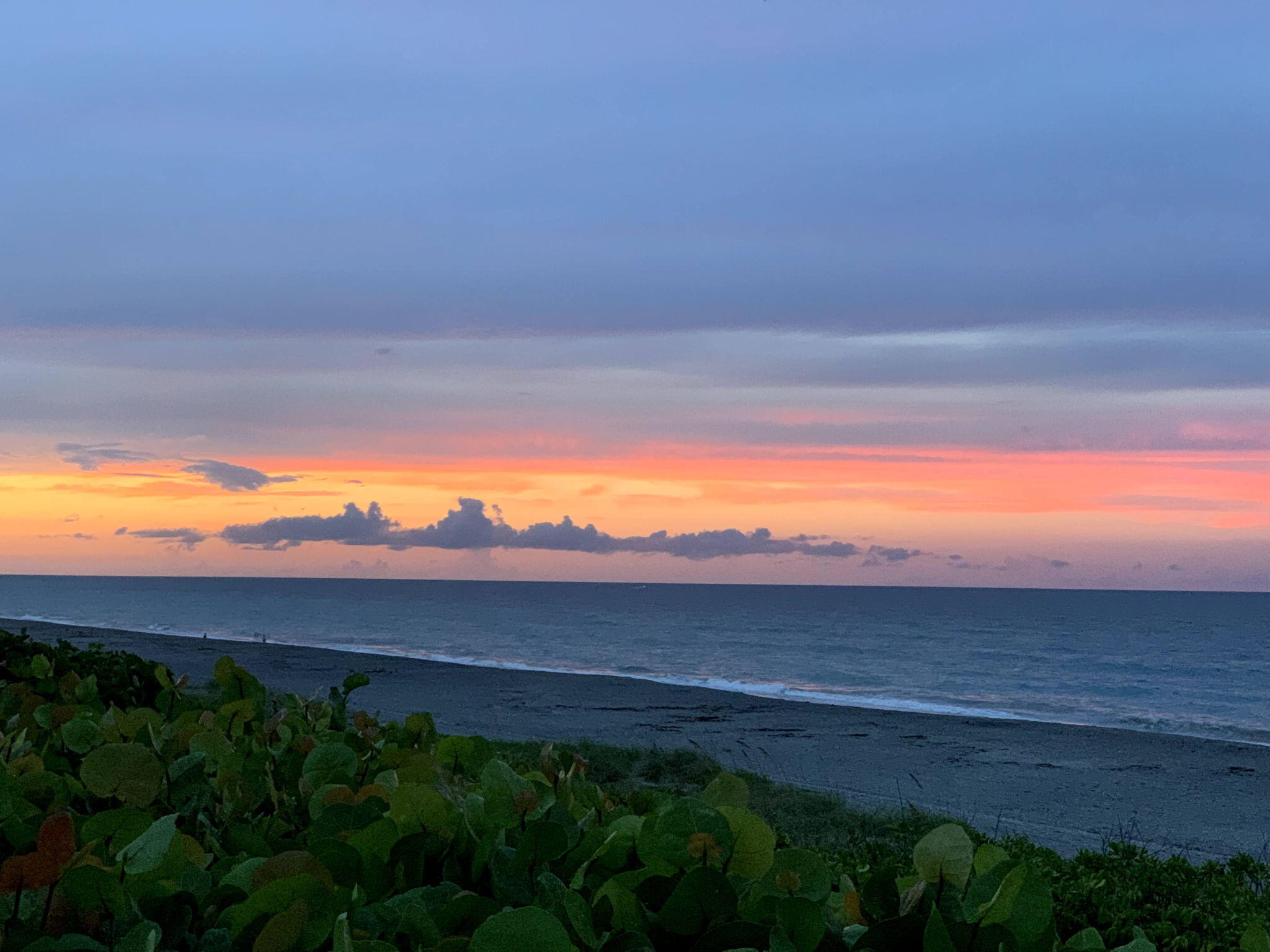 1605 Highway 1, Unit 8E Jupiter, FL 33477 - Photo 36 of 47 a view of an ocean