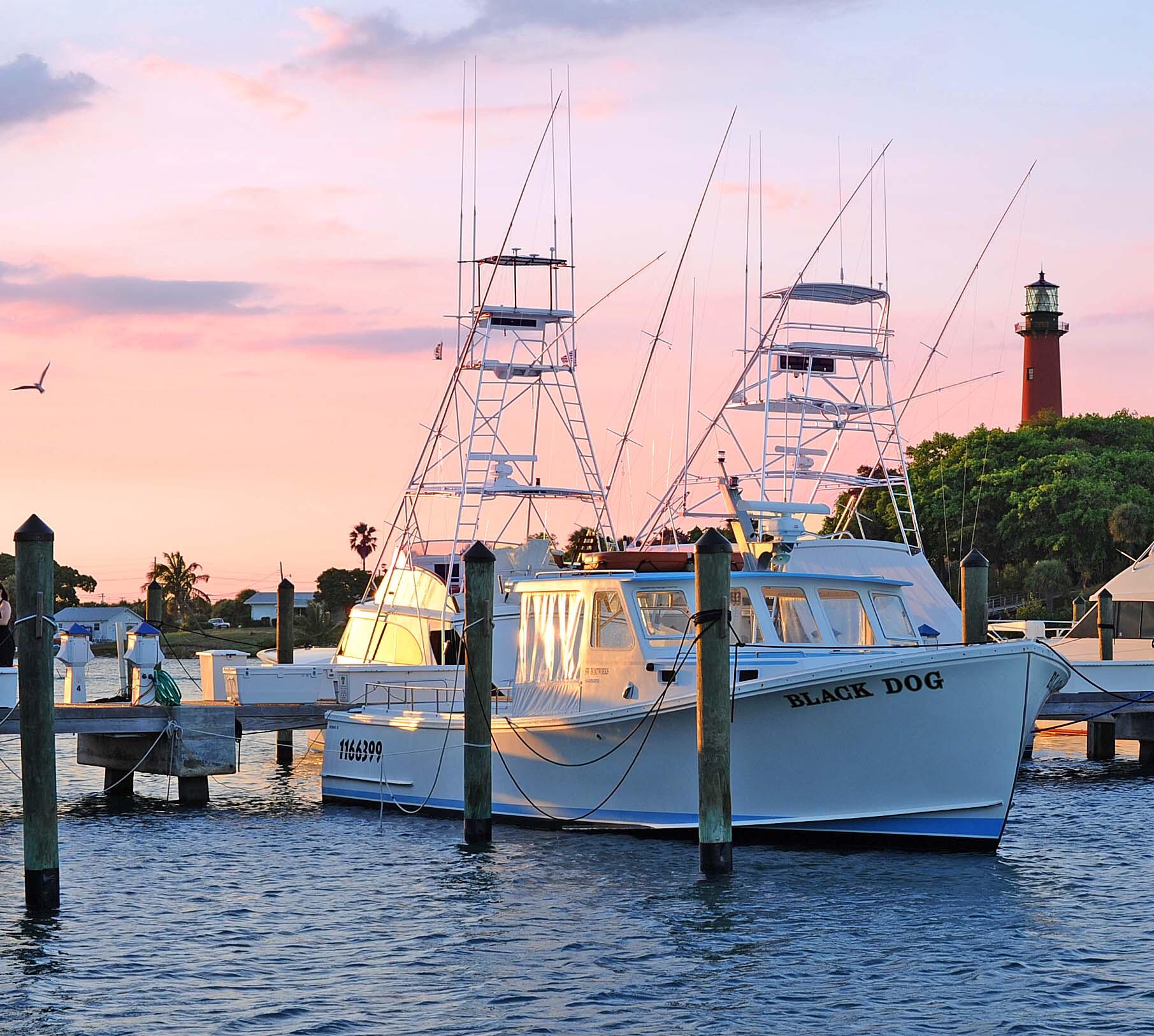 1605 Highway 1, Unit 8E Jupiter, FL 33477 - Photo 41 of 47 a view of a ocean with boats and trees in the background
