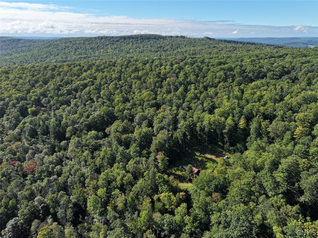 9543 Sawmill Run Road Napoli, NY 14755 - Photo 4 of 50 Gallery Image 4
