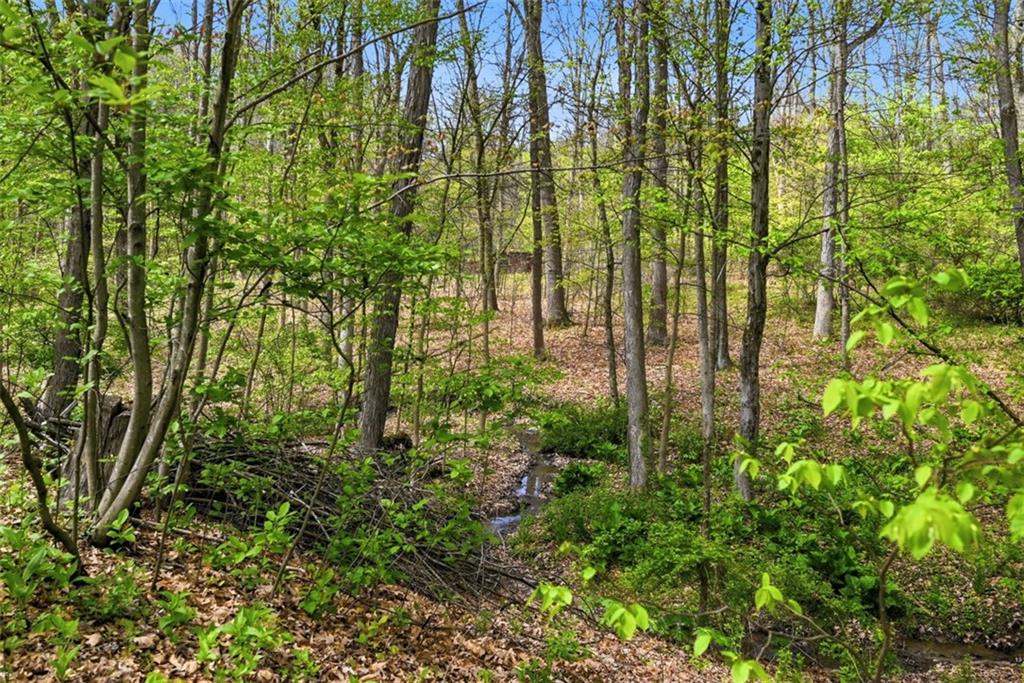 412 Golden Grove Road Baden, PA 15005 - Photo 47 of 50