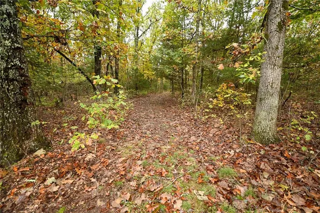 $343,000 | 24900 Englewood Lane, Lebanon, MO 65536