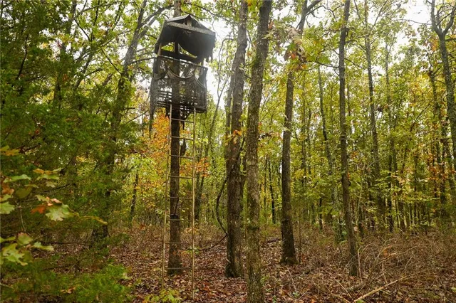 $343,000 | 24900 Englewood Lane, Lebanon, MO 65536