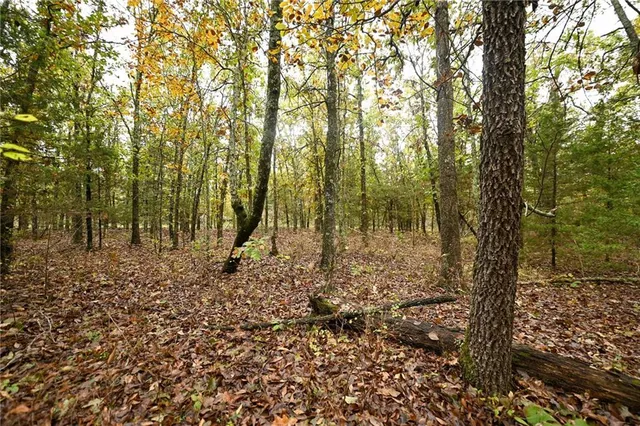 $343,000 | 24900 Englewood Lane, Lebanon, MO 65536