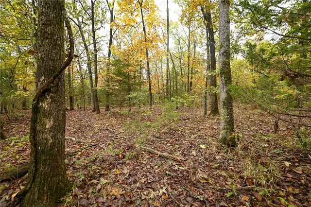 $343,000 | 24900 Englewood Lane, Lebanon, MO 65536