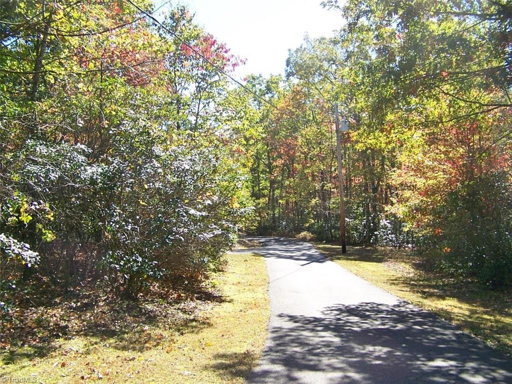 388 Davis Road Mount Airy, NC 27030 - Photo 25 of 26 Paved Driveway