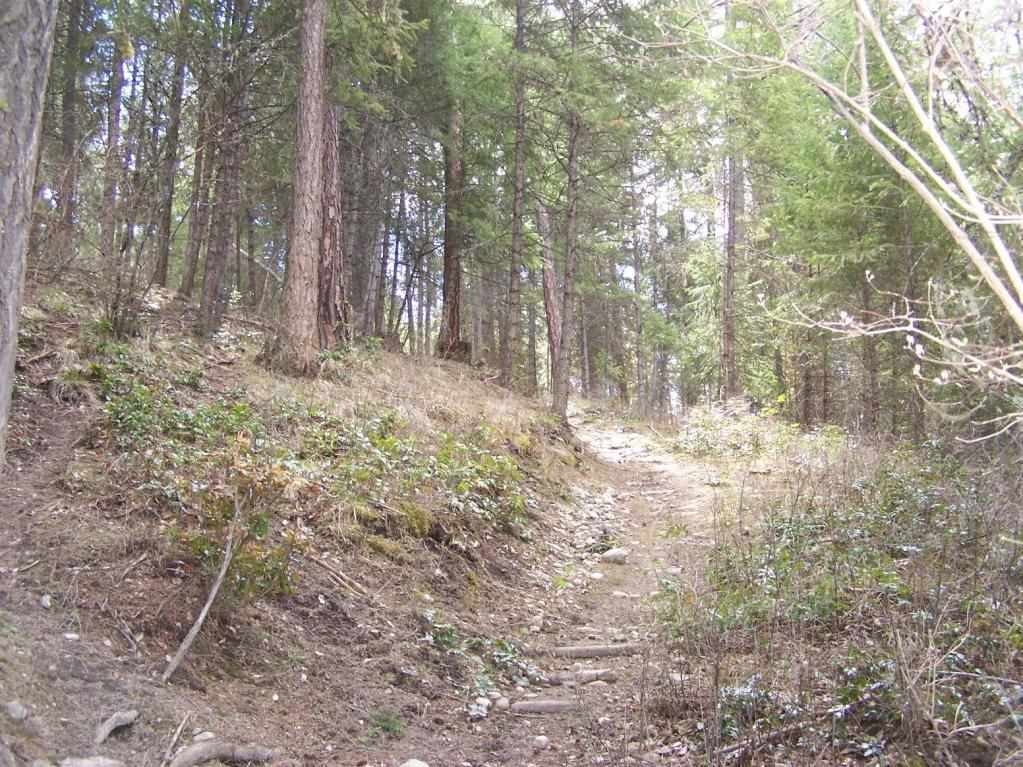 2372 B Kettle River Road Kettle Falls, WA 99141 - Photo 12 of 16 Gallery Image 12