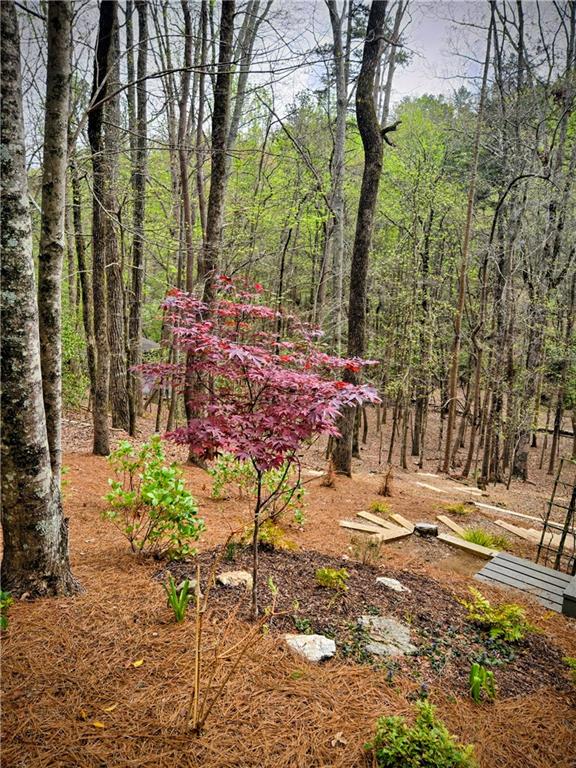 62 Cardinal Cove Jasper, GA 30143 - Photo 36 of 54