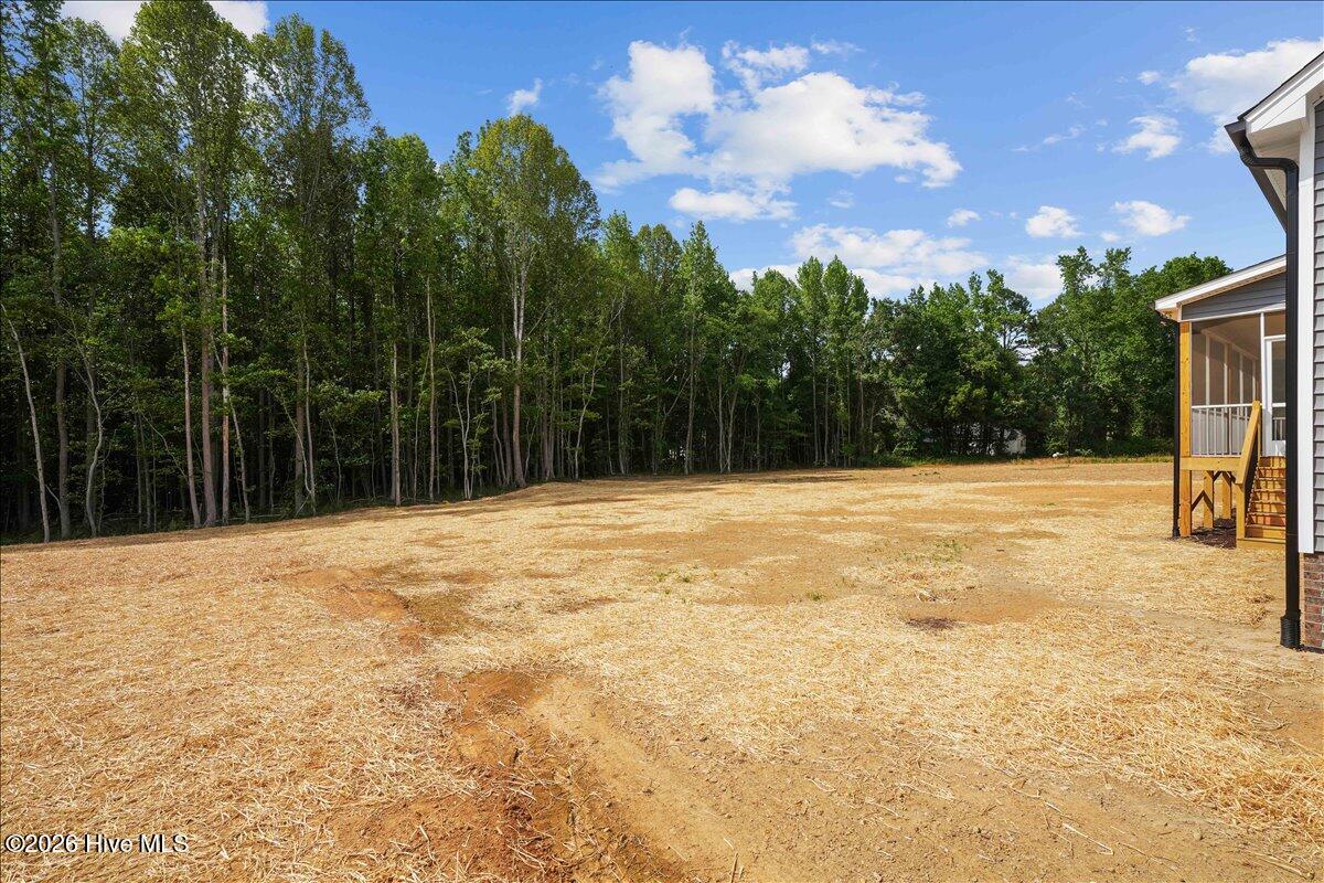 1859 South Big Woods Road Spring Hope, NC 27882 - Photo 34 of 35
