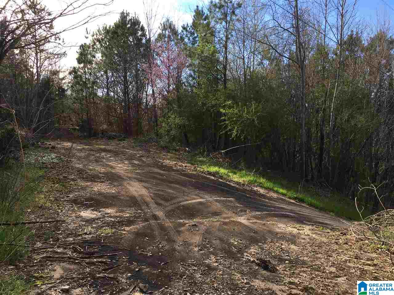 230 County Line Road Oxford, AL 36203 - Photo 11 of 50