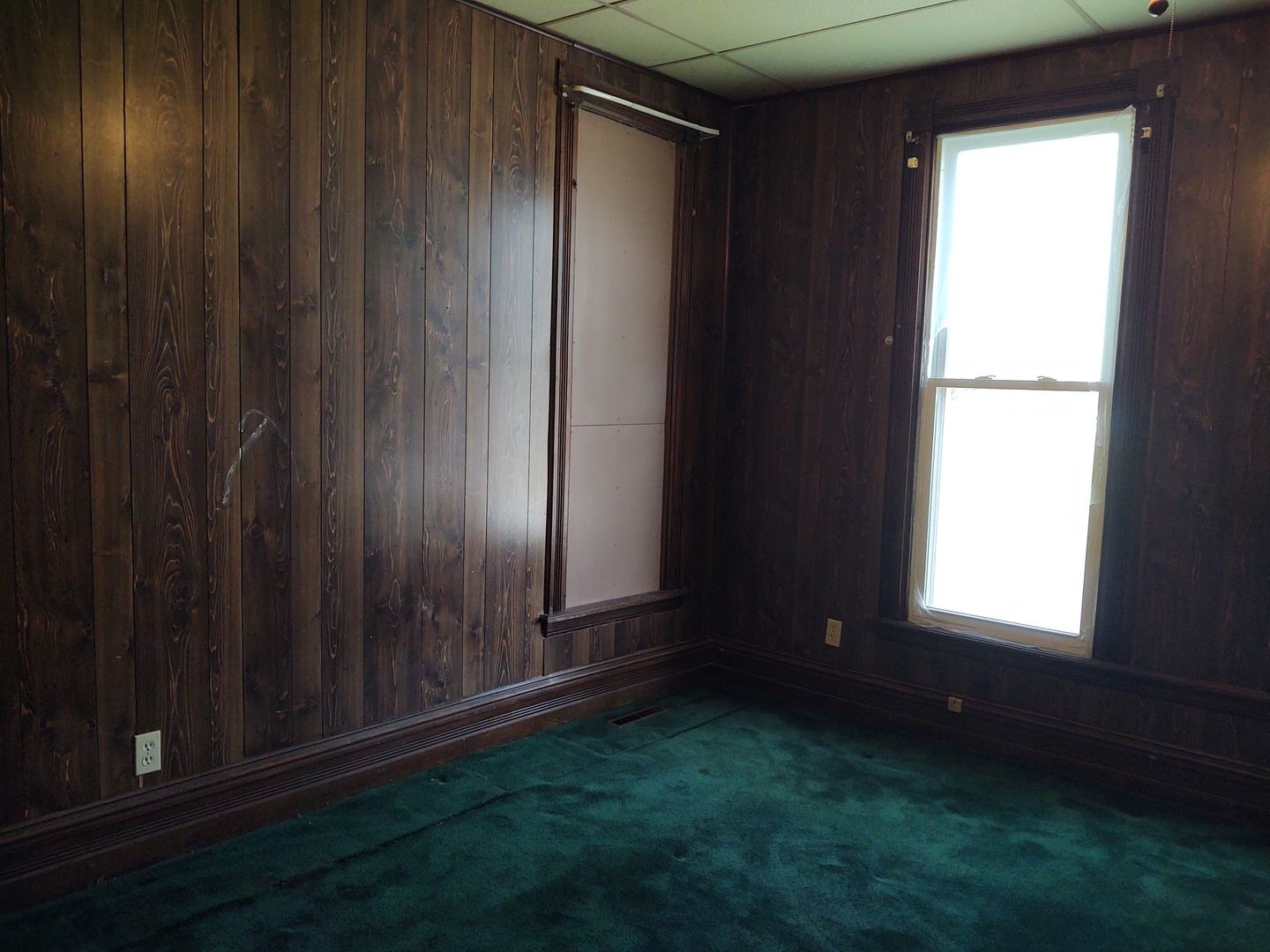 201 South 4th Street Vienna, IL 62995 - Photo 6 of 9