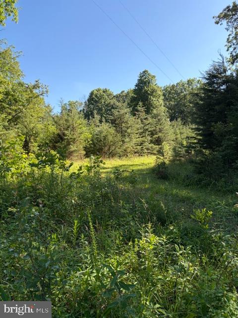 0 Gold Dale Road Locust Grove, VA 22508 - Photo 3 of 7