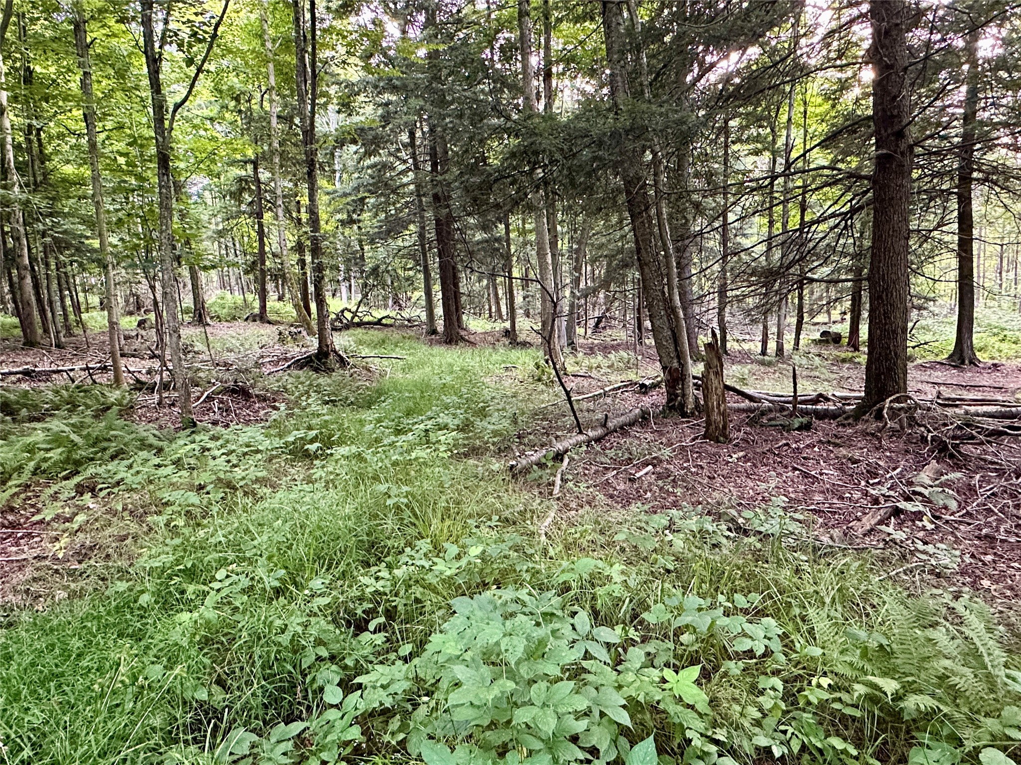 I79 Off Old State Road Edinboro, PA 16412 - Photo 11 of 16 Gallery Image 11