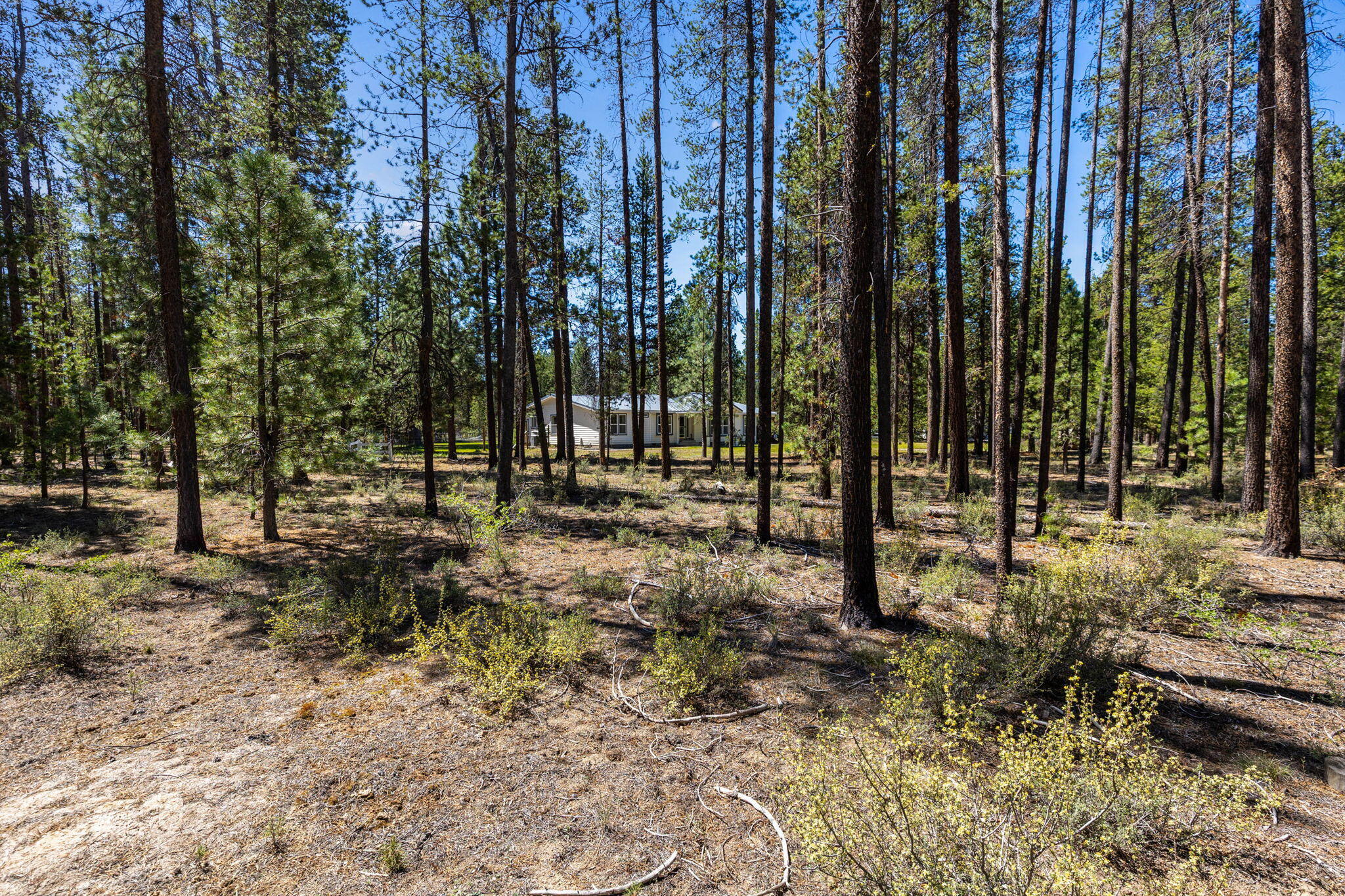 1716 Terret Road La Pine, OR 97739 - Photo 54 of 72 2026_05_11_1716_terret_road_la_pine-10