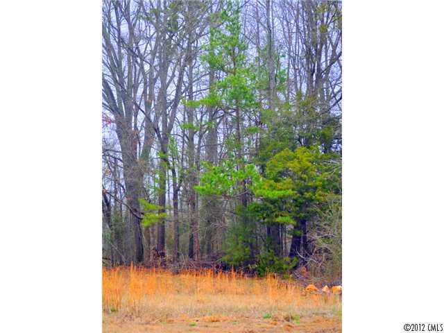 1 New Town Road, Unit 3 Waxhaw, NC 28173 - Photo 1 of 1