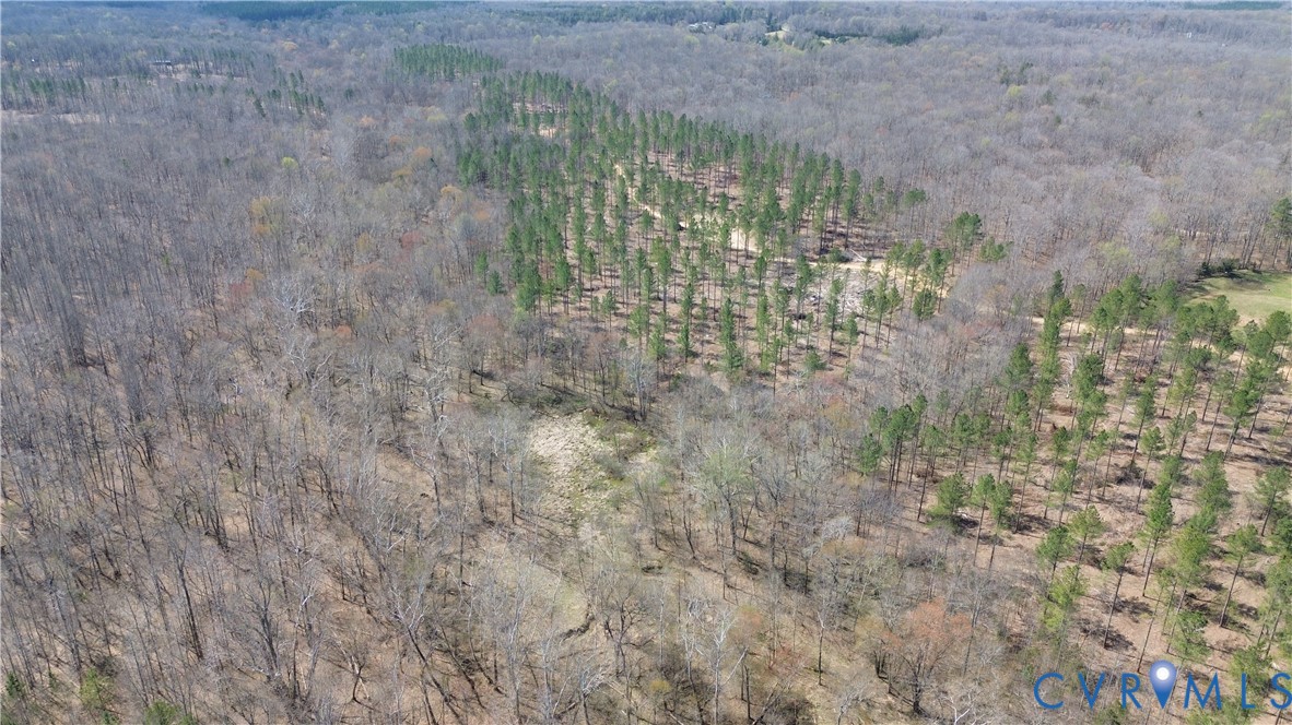 2028 Cook Road Powhatan, VA 23139 - Photo 11 of 22