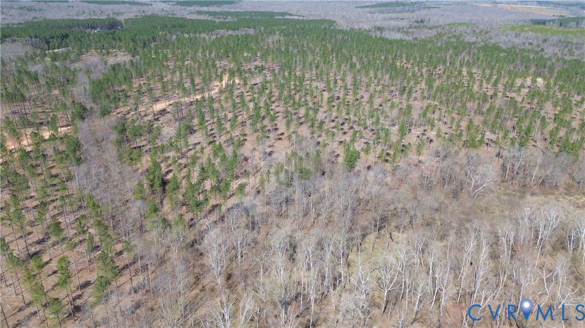 2028 Cook Road Powhatan, VA 23139 - Photo 12 of 22