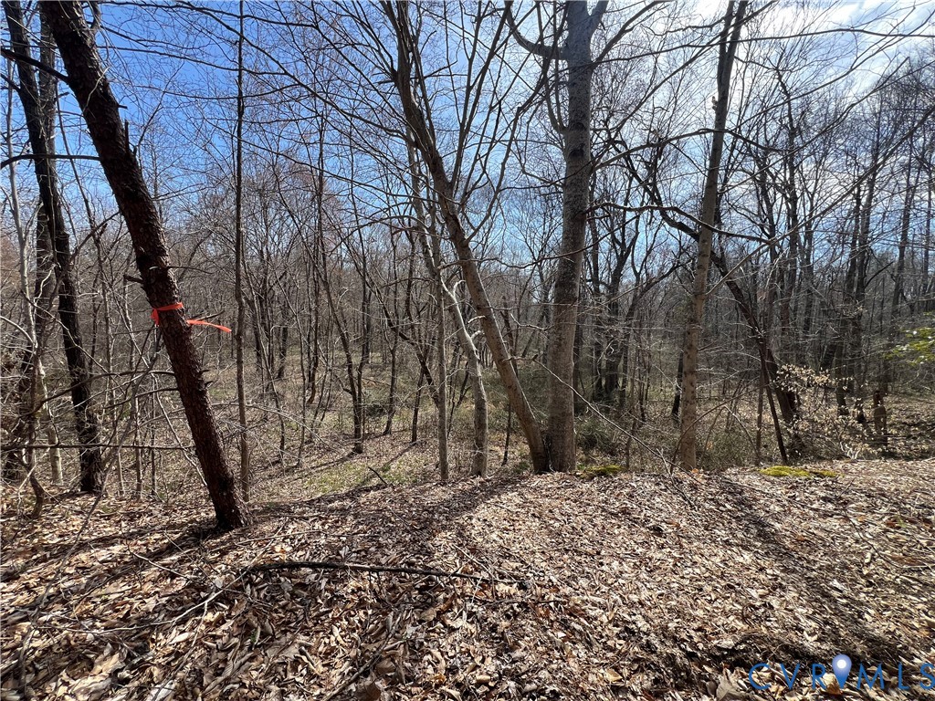 2028 Cook Road Powhatan, VA 23139 - Photo 14 of 22