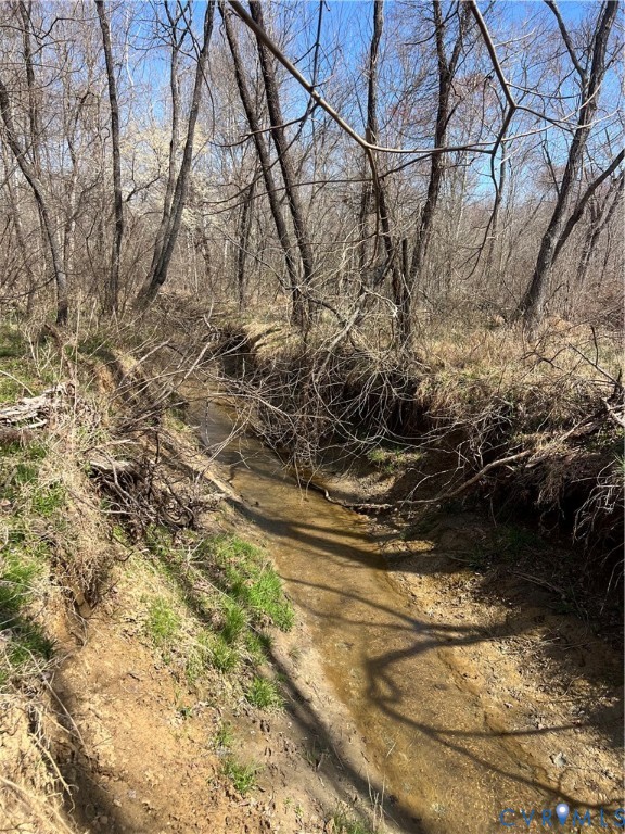 2028 Cook Road Powhatan, VA 23139 - Photo 15 of 22