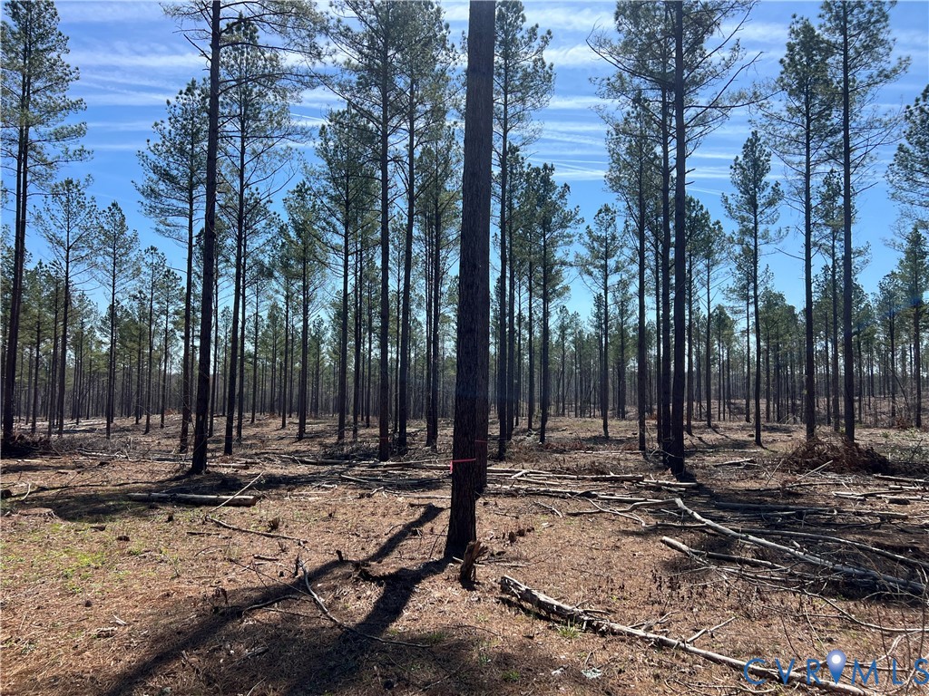 2028 Cook Road Powhatan, VA 23139 - Photo 17 of 22