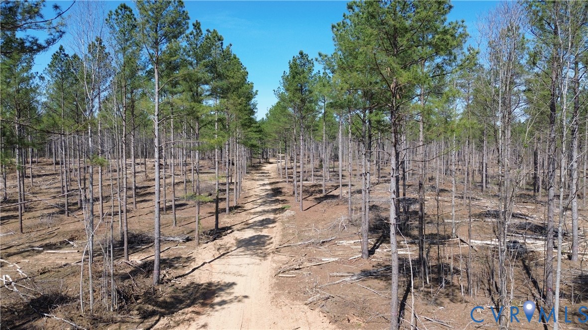 2028 Cook Road Powhatan, VA 23139 - Photo 18 of 22